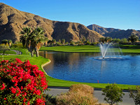 Indian Canyons Golf Course 2
