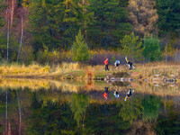 Hartley Pond Reflections