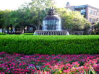 Waterfront Park