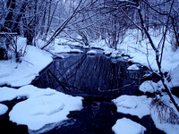 Winter Creek 2