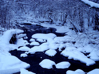 Winter Creek 1