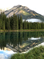 Bow River Reflection 3
