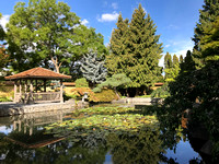 Kasugai Japanese Garden 3