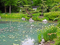 Jardin Botanique 12
