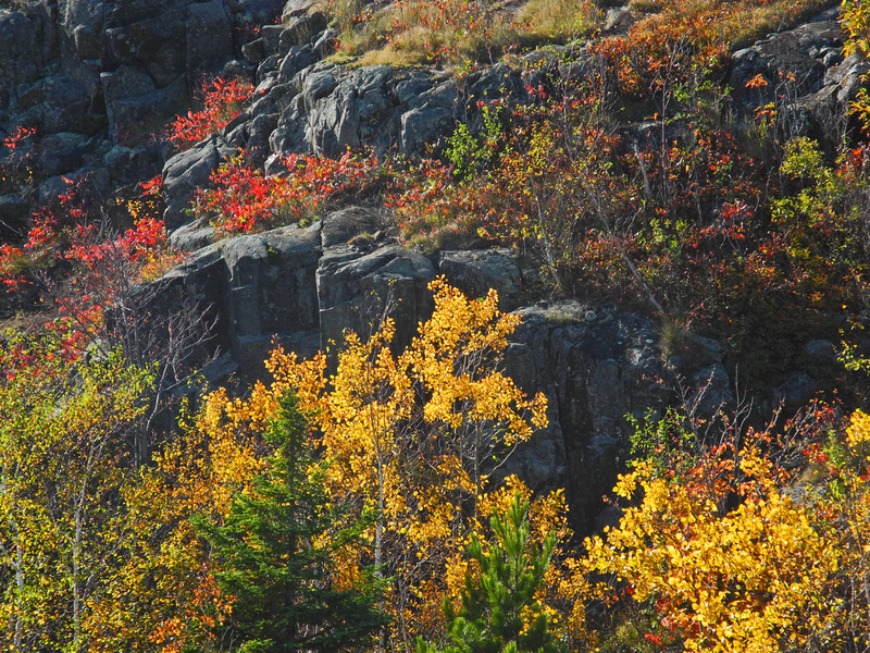 Northwoods Photography Duluth MN Fall Colors