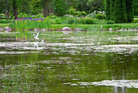 Jardin Botanique 19