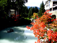 Whistler Waterscape