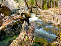 Tischer Creek falls