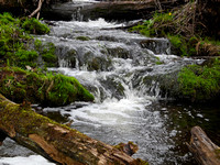Spring Amity Creek