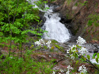 Spring Tischer Creek Waterfall