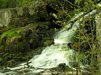 Chester Creek Falls