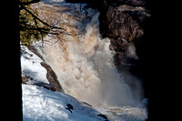 Spring Rush Amity Falls