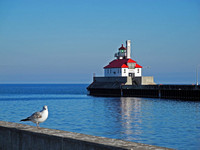 Winter Lighthouse & Seagull