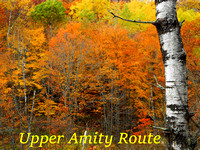 https://jlatour.zenfolio.com/upper-amity-creek-route.pdf