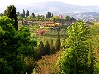 Hillside overlooking Florence