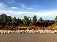 Waterfront Park Garden