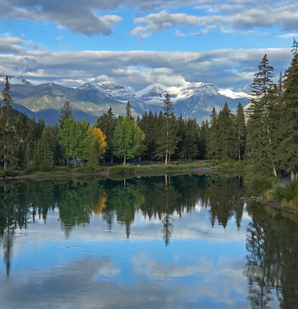 Bow River Reflection 2