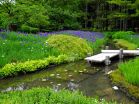 Jardin Botanique 15