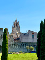 Avignon