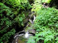 Watkins Glen 7