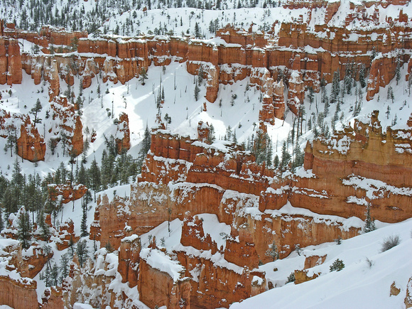 Bryce Canyon 14