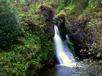 Hanawi Falls (Maui)