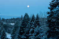 Snowy Moonset 1