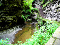 Watkins Glen 8