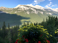 Rundle Peak 3