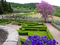 Castle de Fontertoli gardens