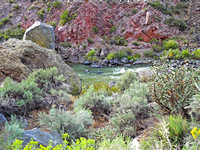 Rio Grande Valley 5