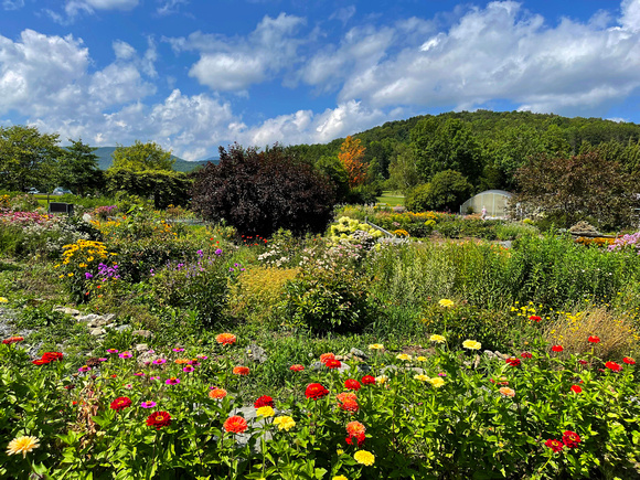 Von Trapp Gardens 3