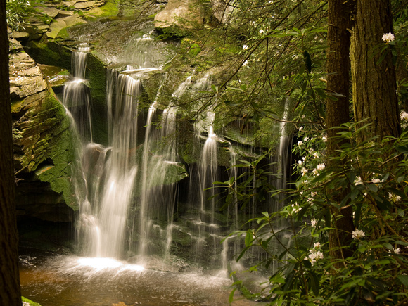 Elakala Falls 2 (West Virginia)