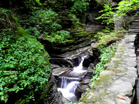 Watkins Glen 6