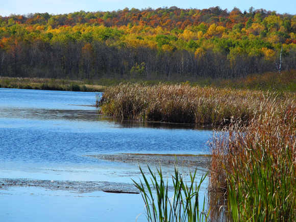 Hartley Pond 4