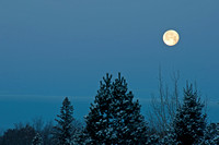 Snowy Moonset 2