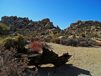 Lost Canyon Trail 1